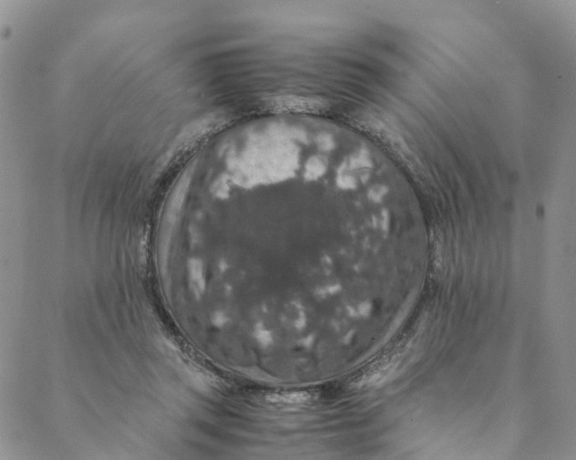 X0000088400357200706121241