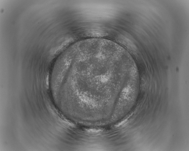 X0000088400358200706121241