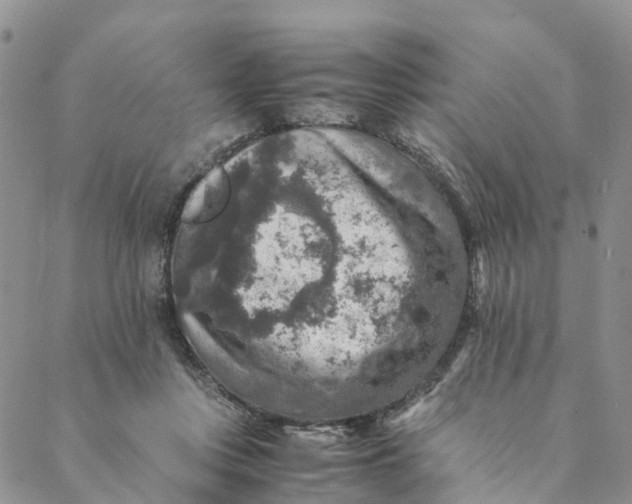 X0000088400359200706121241