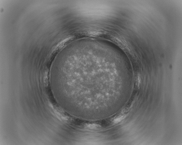 X0000088400360200706121241