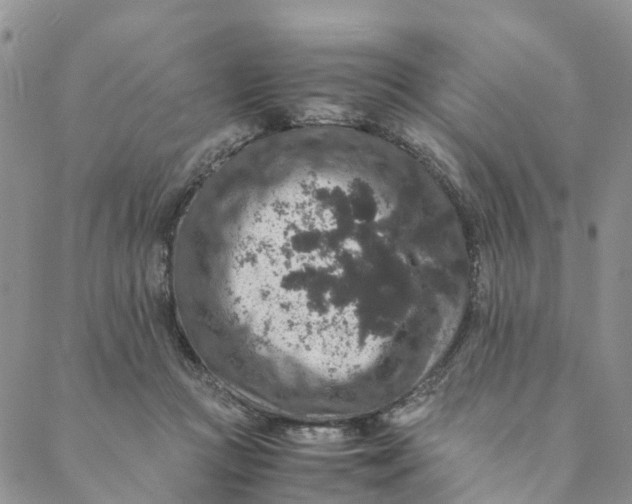 X0000088400361200706121241