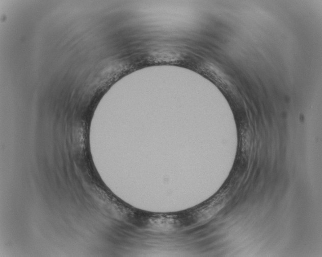 X0000088400362200706121241