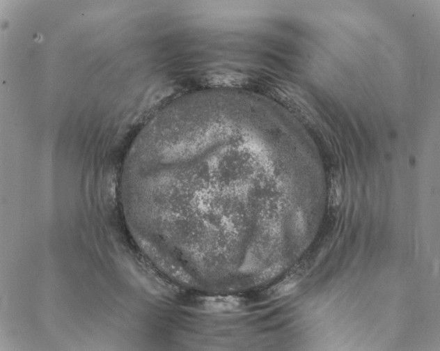 X0000088400363200706121241