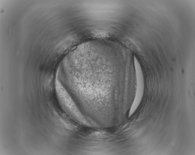 X0000088400364200706121241