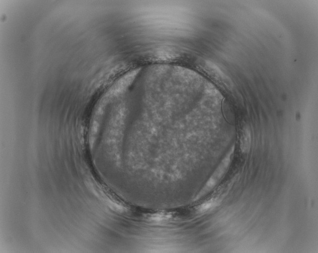 X0000088400366200706121241