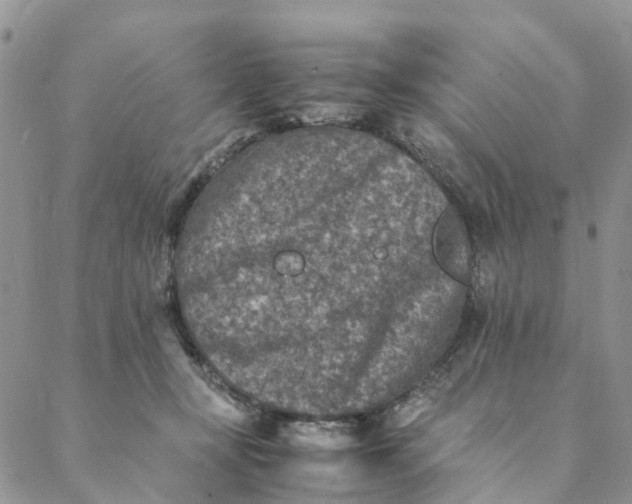 X0000088400367200706121241