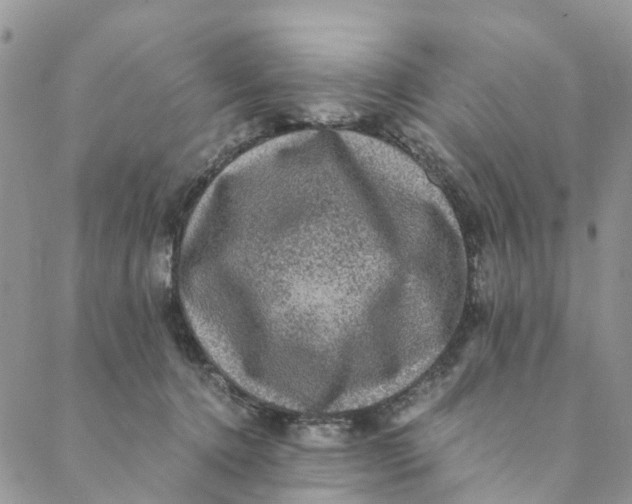 X0000088400368200706121241