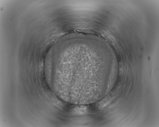 X0000088400369200706121241