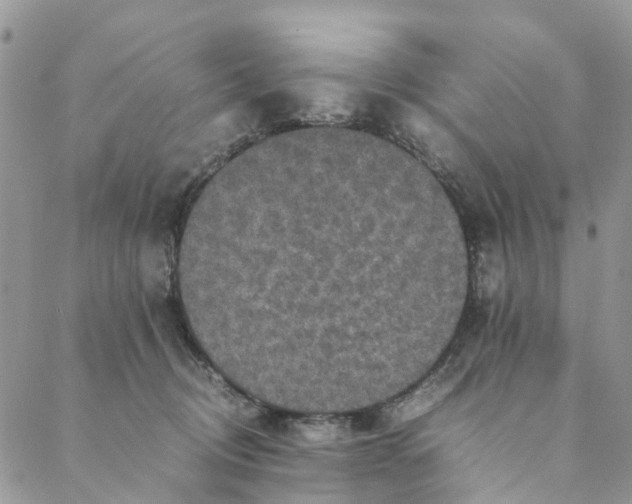 X0000088400370200706121241