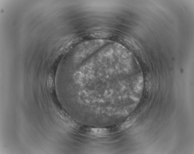 X0000088400371200706121241