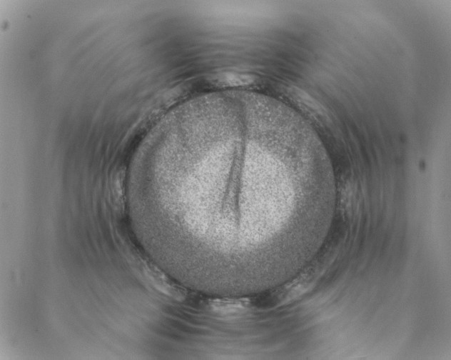 X0000088400373200706121241