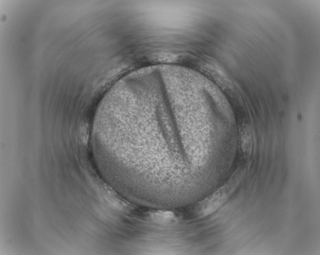 X0000088400374200706121241