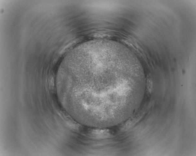 X0000088400375200706121241