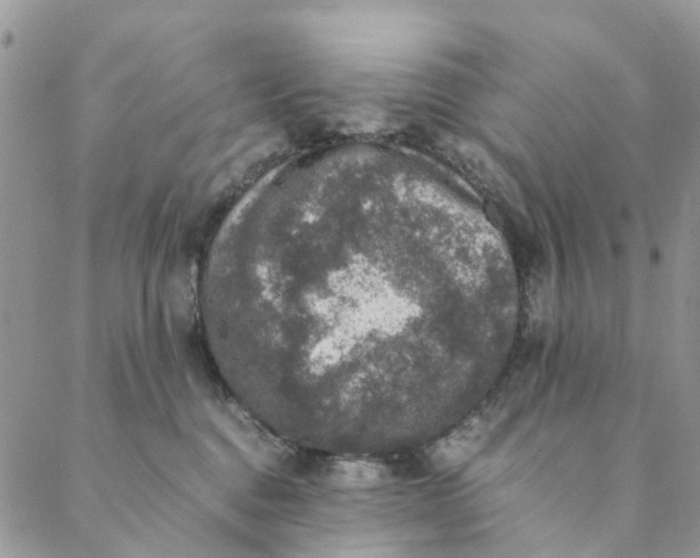 X0000088400376200706121241