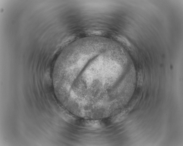 X0000088400377200706121241