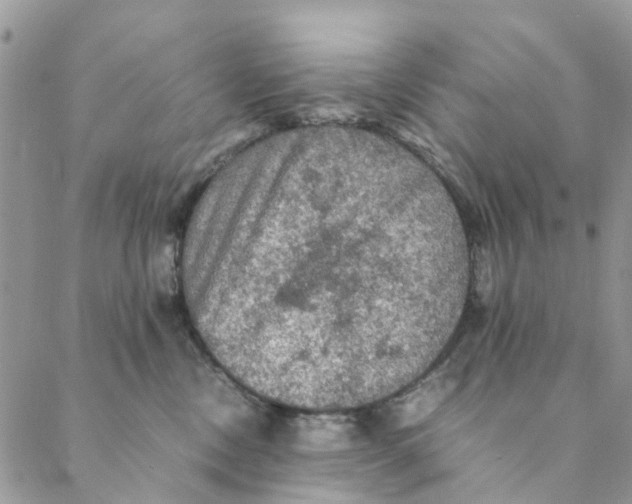 X0000088400378200706121241