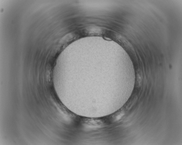 X0000088400379200706121241