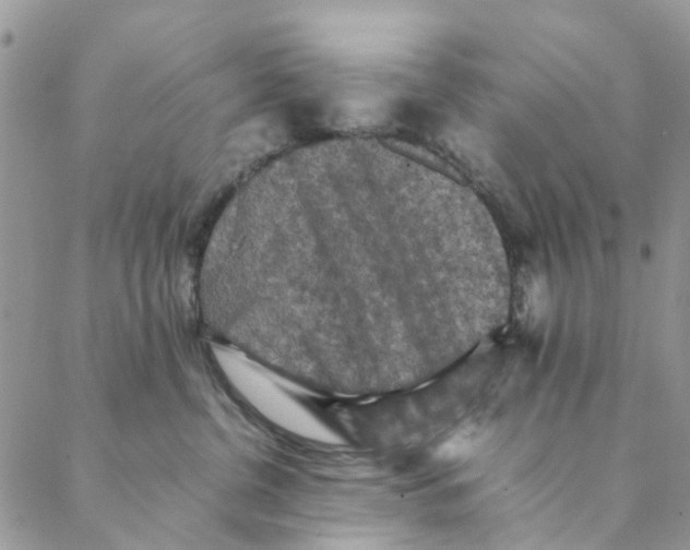 X0000088400380200706121241