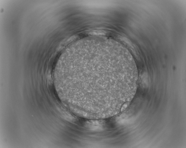 X0000088400381200706121241