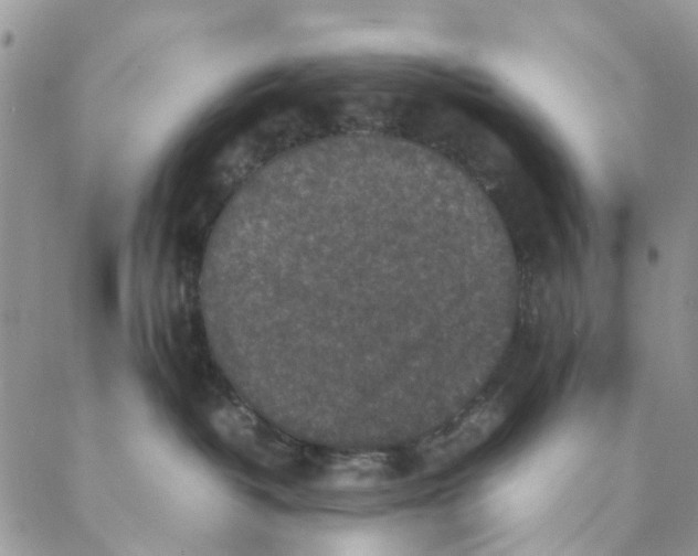 X0000088400382200706121241