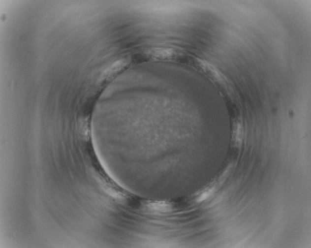 X0000088400383200706121241