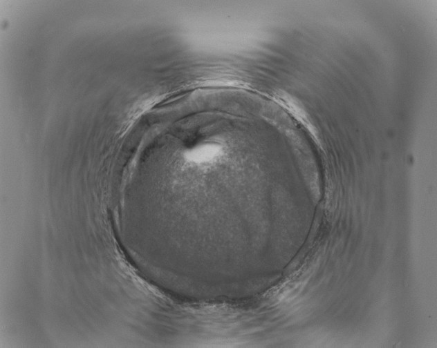 X0000088400385200706121240