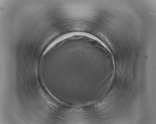 X0000088400386200706121240