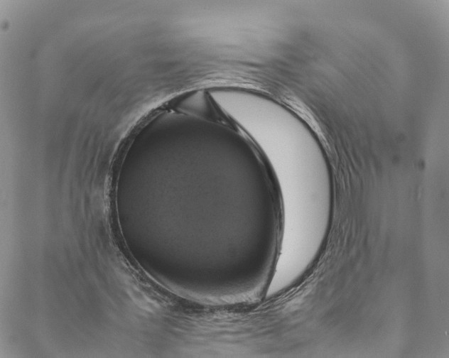 X0000088400387200706121240