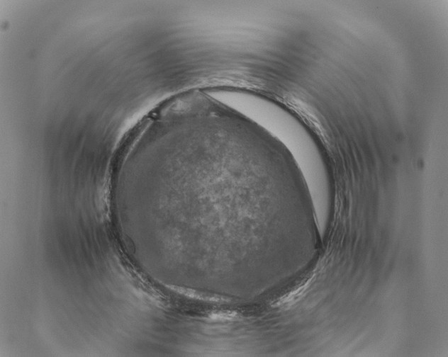 X0000088400388200706121240