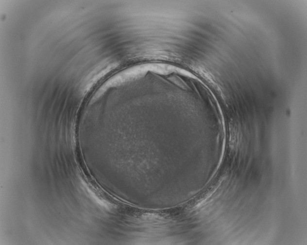 X0000088400390200706121240