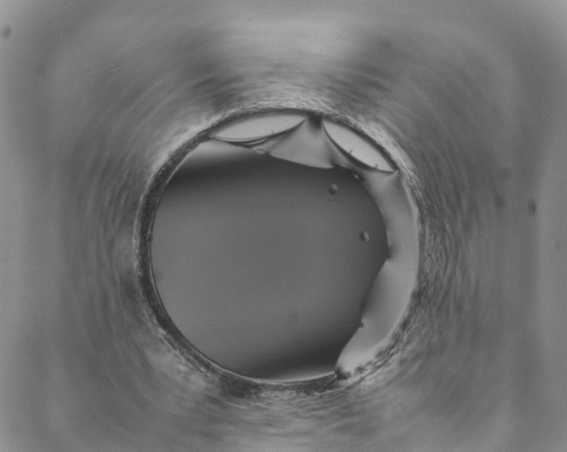 X0000088400391200706121240