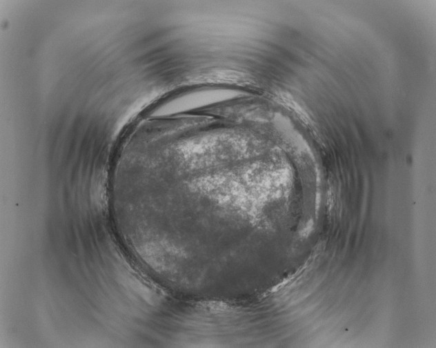 X0000088400392200706121240