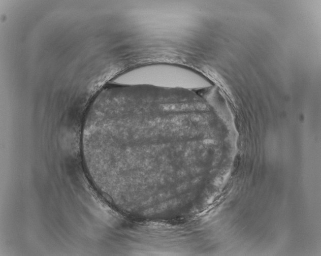 X0000088400393200706121240