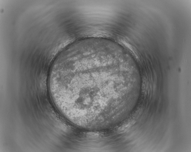 X0000088400394200706121240