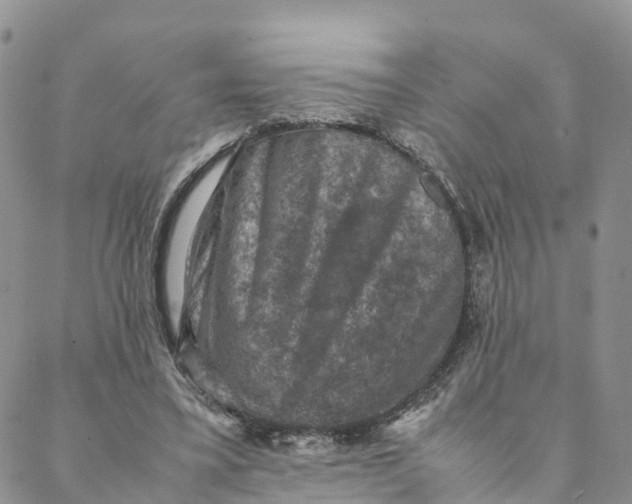 X0000088400395200706121240