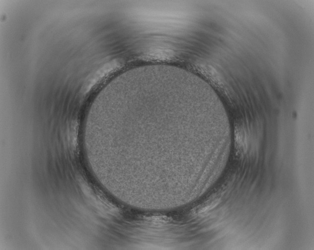 X0000088400396200706121240