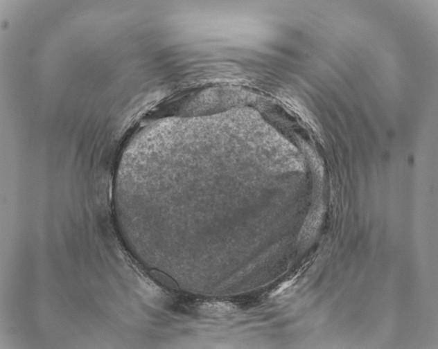 X0000088400397200706121240