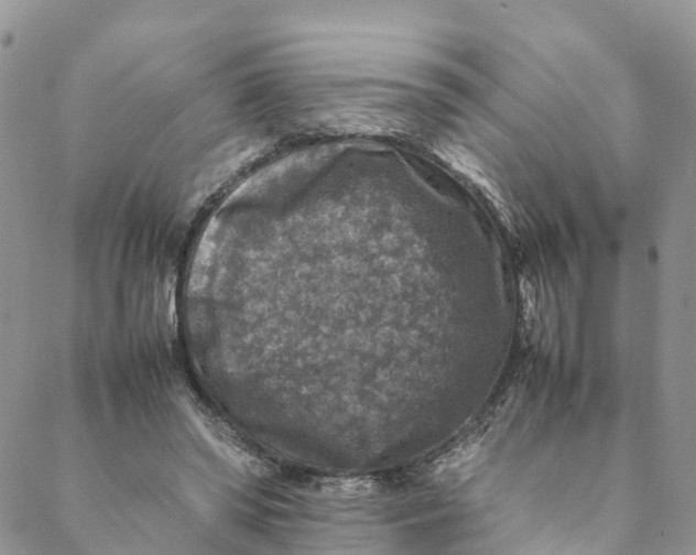 X0000088400398200706121240