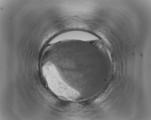 X0000088400399200706121240