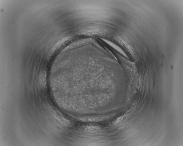 X0000088400400200706121240