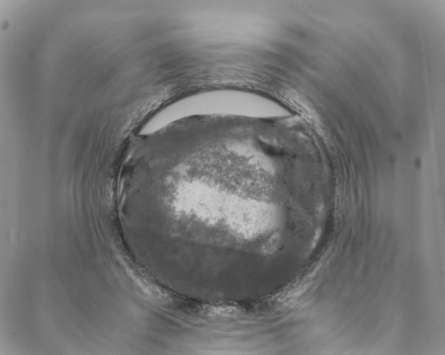 X0000088400401200706121240