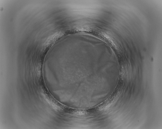 X0000088400402200706121240