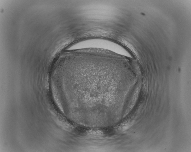 X0000088400403200706121240