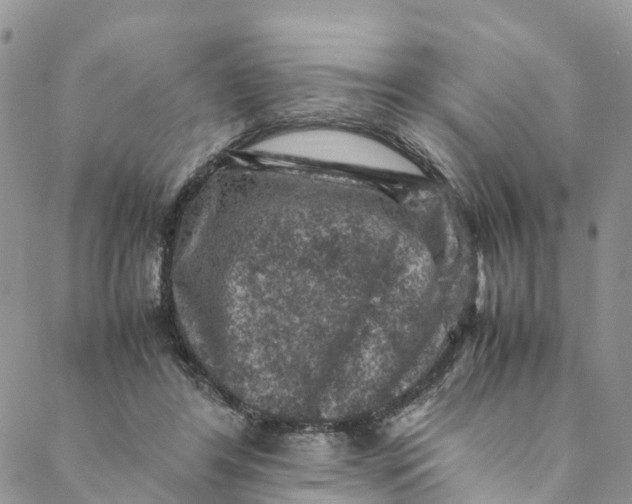 X0000088400404200706121240