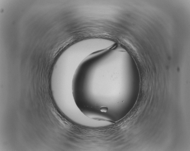 X0000088400405200706121240