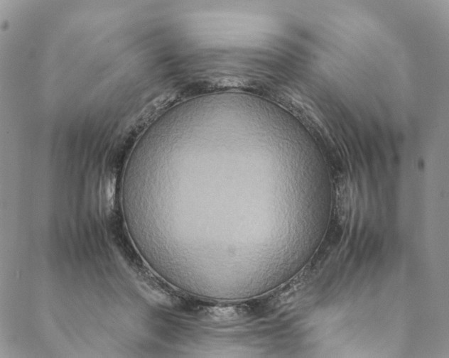 X0000088400406200706121240