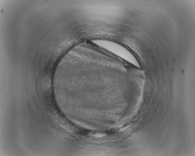 X0000088400407200706121240