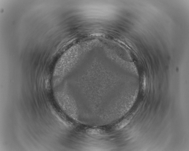 X0000088400408200706121240