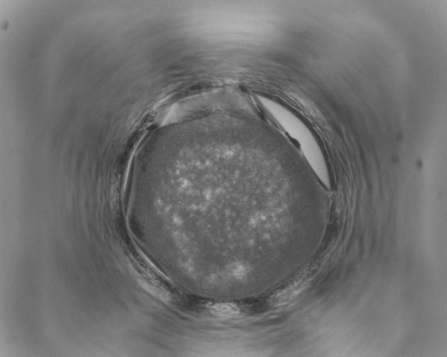 X0000088400409200706121240