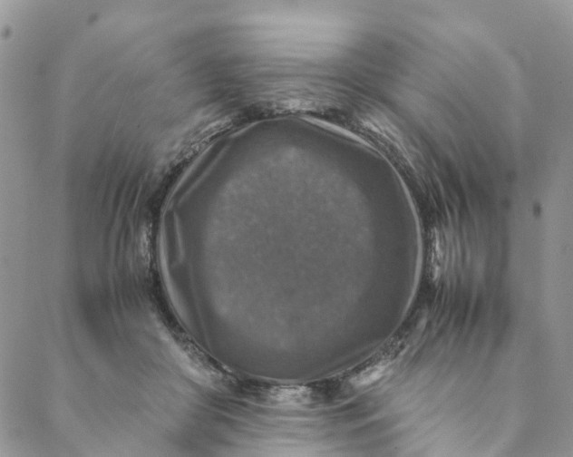 X0000088400410200706121240